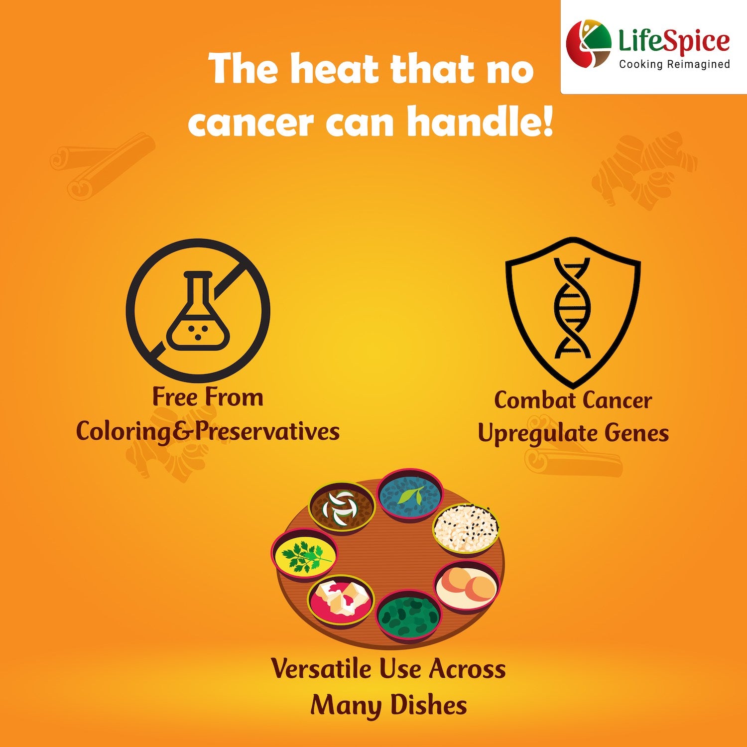 Lifespice Garam Masala Cancer care